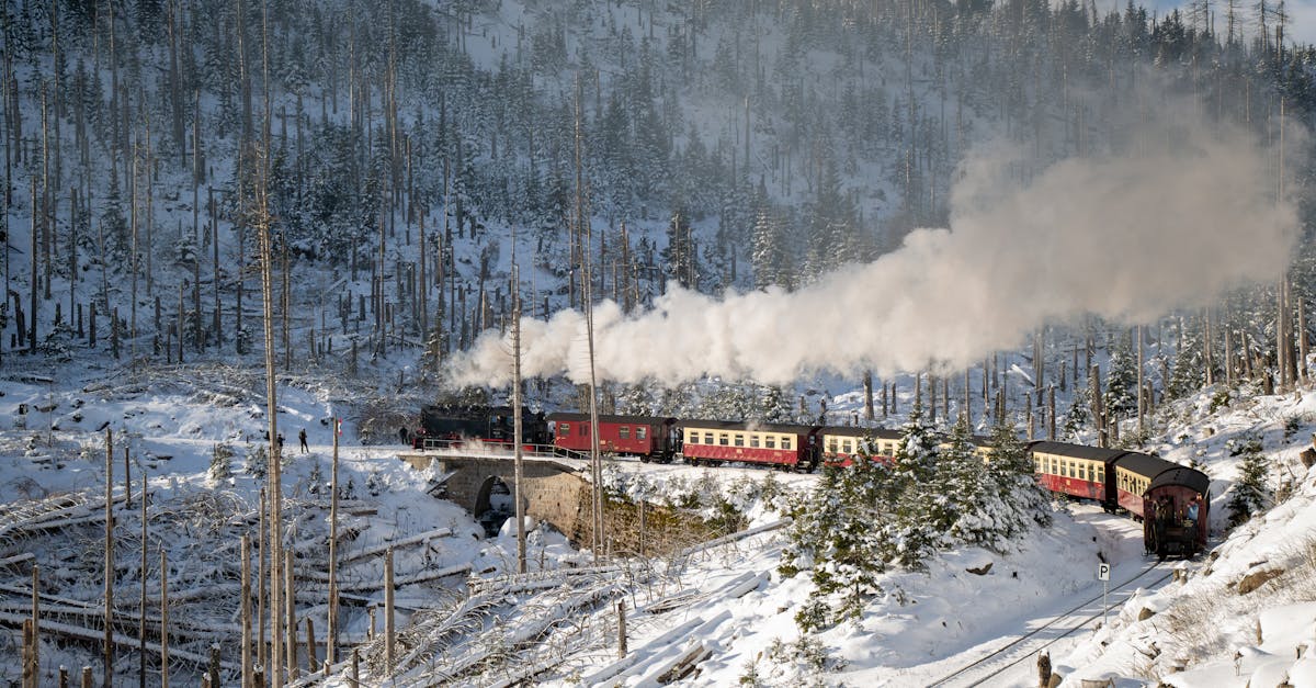 découvrez tout sur le mal des transports, communément appelé 'motion sickness'. apprenez à identifier ses symptômes, à comprendre ses causes et à explorer des solutions pour soulager cette gêne lors de vos déplacements, que ce soit en voiture, en bateau ou en avion.