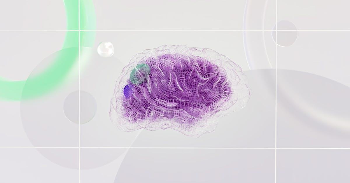 découvrez les enjeux du vieillissement cérébral, ses impacts sur la cognition et les moyens d'optimiser la santé de votre cerveau tout au long de la vie. apprenez comment prévenir le déclin cognitif et favoriser le bien-être mental grâce à des conseils pratiques et des recherches actuelles.