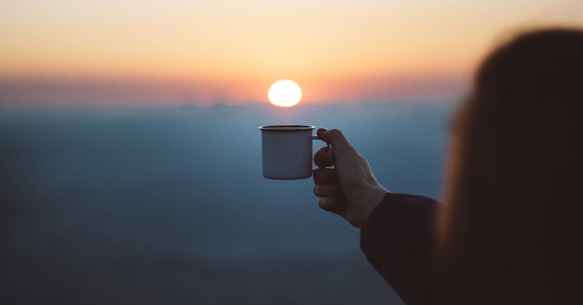 découvrez l'univers du café : ses origines, ses variétés, et des astuces pour préparer la tasse parfaite. plongez dans des recettes savoureuses et explorez les bienfaits du café pour une expérience enrichissante.