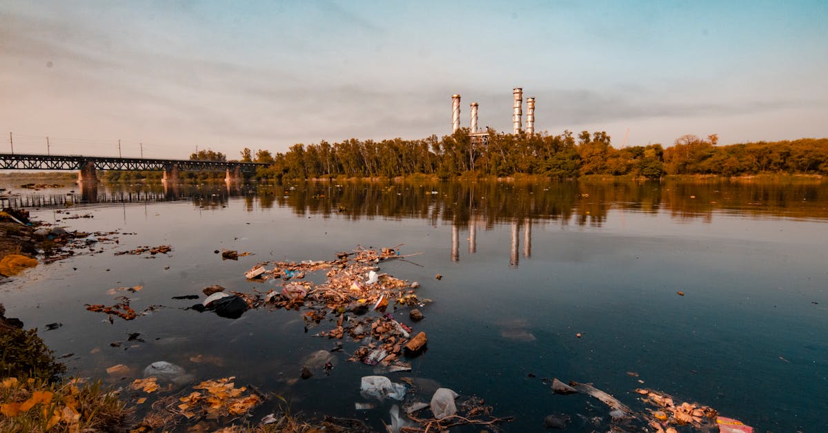 découvrez les enjeux de la contamination, ses causes et ses conséquences sur l'environnement et la santé humaine. informez-vous sur les mesures préventives pour réduire les risques et protéger notre planète.