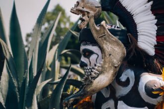 plongez dans l'univers fascinant et terrifiant d'american horror story, une série d'anthologie qui explore les peurs humaines à travers des histoires captivantes, des personnages complexes et des intrigues surprenantes. chaque saison vous entraîne dans un nouvel horror story, mêlant psychologie, suspense et frissons.
