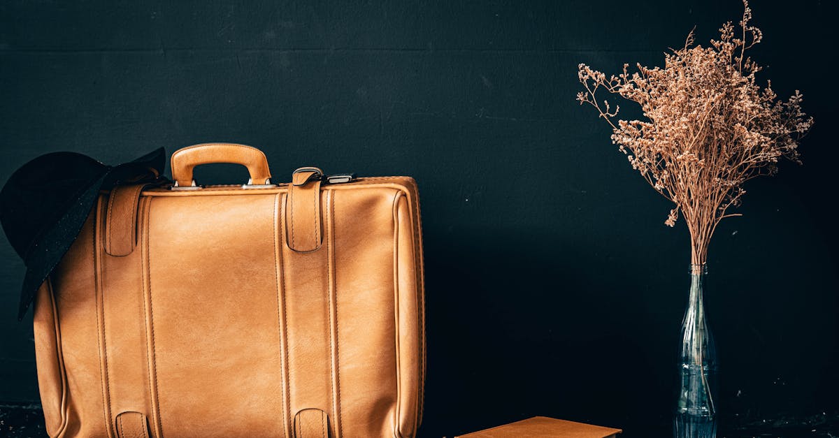 découvrez notre collection de sacs élégants et pratiques, parfaits pour toutes les occasions. que vous recherchiez un sac à main sophistiqué, un sac à dos tendance ou un tote bag spacieux, trouvez le compagnon idéal qui allie style et fonctionnalité.