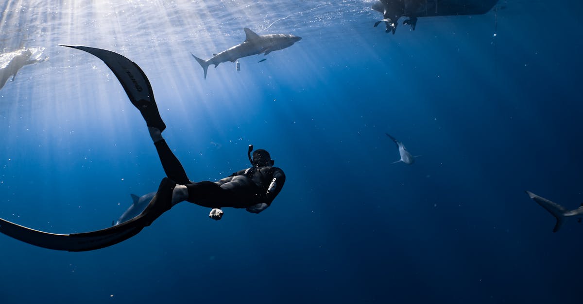 découvrez le shark flexstyle, un appareil innovant pour coiffer vos cheveux avec simplicité et efficacité. transformez votre routine capillaire grâce à ses multiples fonctionnalités et son design ergonomique, idéal pour créer des coiffures variées avec style.