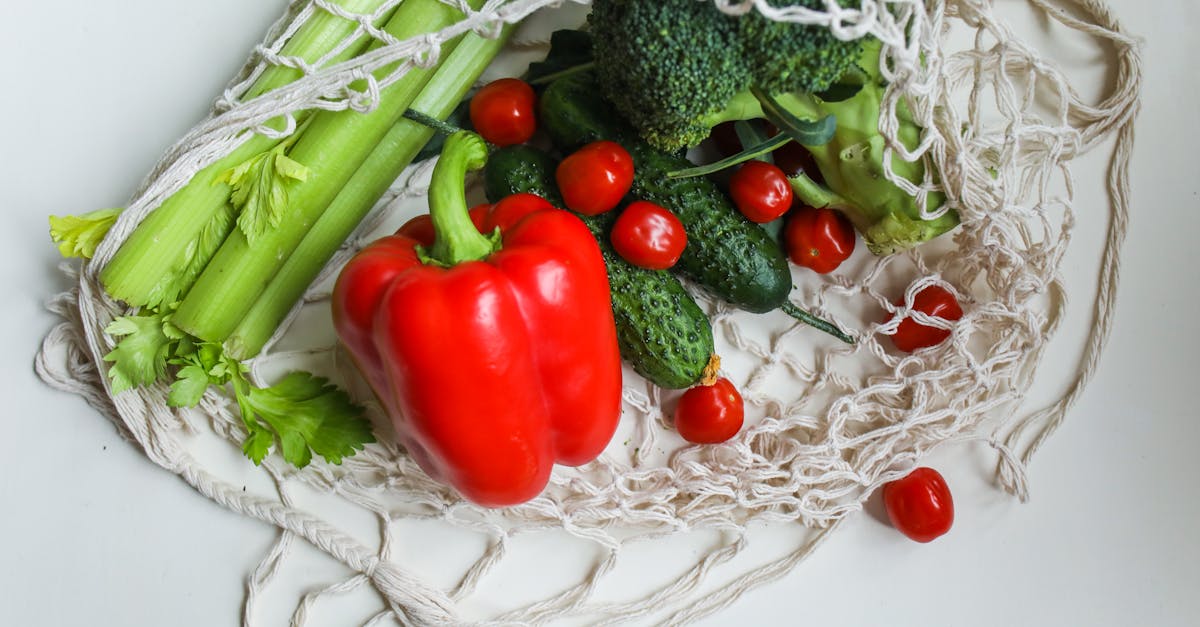 découvrez le céleri, un légume croquant et nutritif, parfait pour vos salades et plats sains. explorez ses bienfaits pour la santé et des recettes savoureuses à base de céleri.