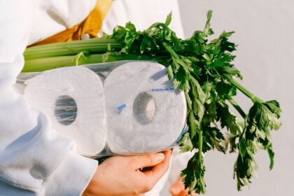 découvrez le céleri, un légume croquant et nutritif, parfait pour rehausser vos plats et améliorer votre santé. apprenez ses bienfaits, ses variétés et des idées de recettes pour l'incorporer dans votre alimentation quotidienne.