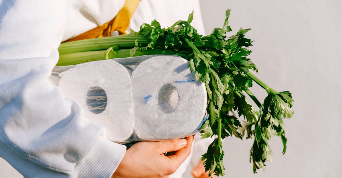 découvrez le céleri, un légume croquant et nutritif, parfait pour rehausser vos plats et améliorer votre santé. apprenez ses bienfaits, ses variétés et des idées de recettes pour l'incorporer dans votre alimentation quotidienne.