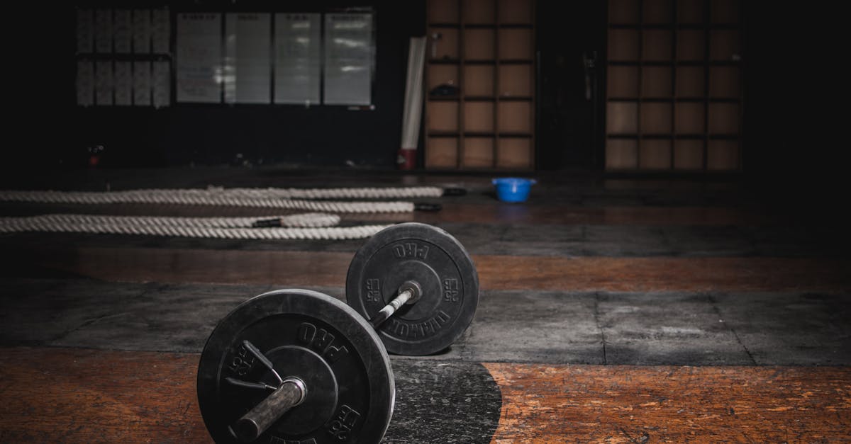 découvrez l'importance de l'exercice physique pour votre santé et votre bien-être. apprenez des conseils pratiques, des routines d'entraînement adaptées et des astuces pour intégrer l'activité physique dans votre quotidien. bougez, renforcez votre corps et améliorez votre qualité de vie grâce à des exercices variés et motivants.
