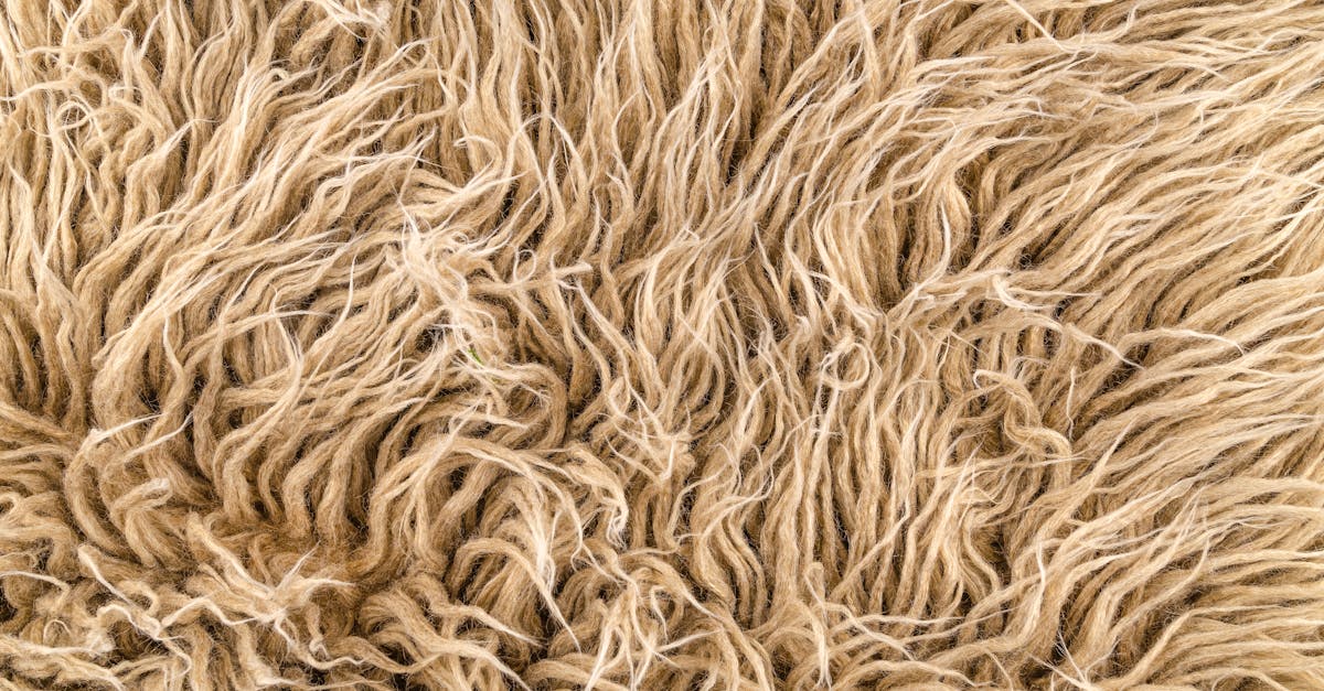 découvrez les bienfaits des fibres pour votre santé : aliments riches en fibres, astuces pour intégrer les fibres dans votre alimentation quotidienne et conseils pour une digestion optimale.