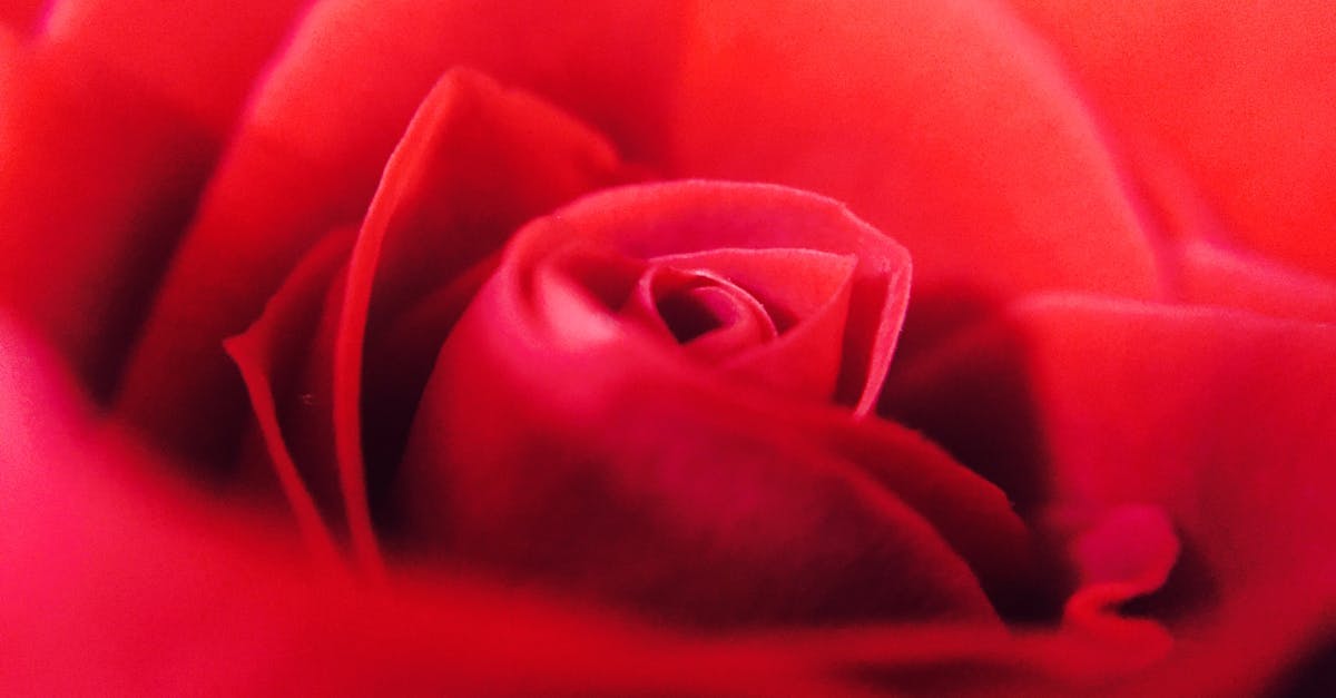 découvrez notre gamme de fragrances envoûtantes qui éveilleront vos sens. des parfums uniques et raffinés pour chaque occasion, alliant élégance et personalité. trouvez votre signature olfactive dès aujourd'hui.