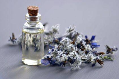 découvrez notre sélection de fragrances envoûtantes qui raviront vos sens. que ce soit pour un usage quotidien ou pour une occasion spéciale, nos parfums de qualité supérieure vous aideront à exprimer votre personnalité et à laisser une empreinte mémorable.