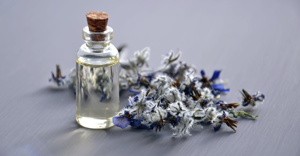 découvrez notre sélection de fragrances envoûtantes qui raviront vos sens. que ce soit pour un usage quotidien ou pour une occasion spéciale, nos parfums de qualité supérieure vous aideront à exprimer votre personnalité et à laisser une empreinte mémorable.