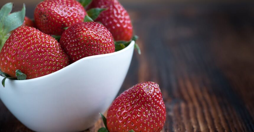 découvrez la richesse des fruits, leurs bienfaits pour la santé et leur diversité à travers le monde. explorez les différentes variétés, recettes et astuces pour intégrer ces trésors naturels dans votre alimentation quotidienne.
