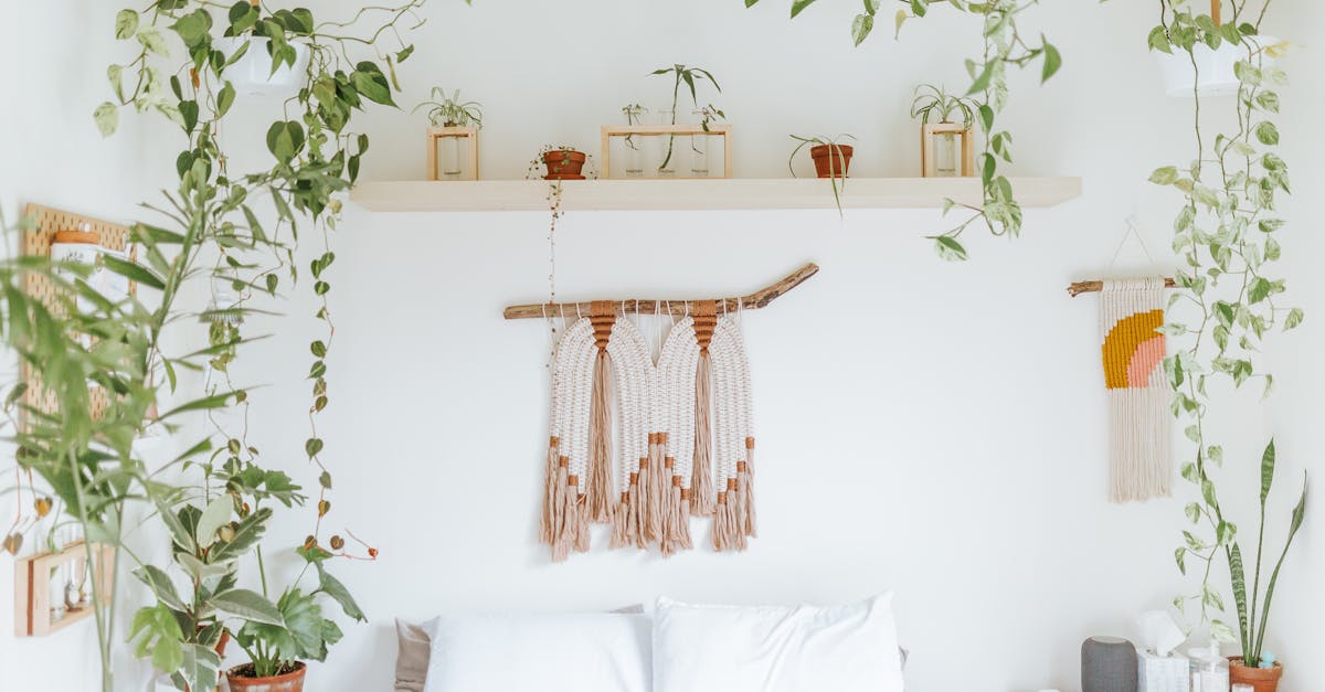 découvrez l'univers fascinant des plantes suspendues ! transformez votre intérieur avec des touches de verdure élégantes et apaisantes. apprenez comment entretenir vos plantes aériennes, ajoutez du caractère à chaque pièce et profitez d'un espace de vie revitalisé grâce à cette tendance tendance et décorative.