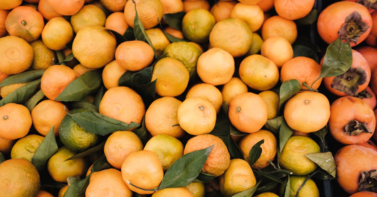 découvrez tout ce qu'il faut savoir sur les mandarines, ce fruit juteux et savoureux. apprenez ses bienfaits pour la santé, ses recettes savoureuses et les astuces pour bien les choisir et les conserver.