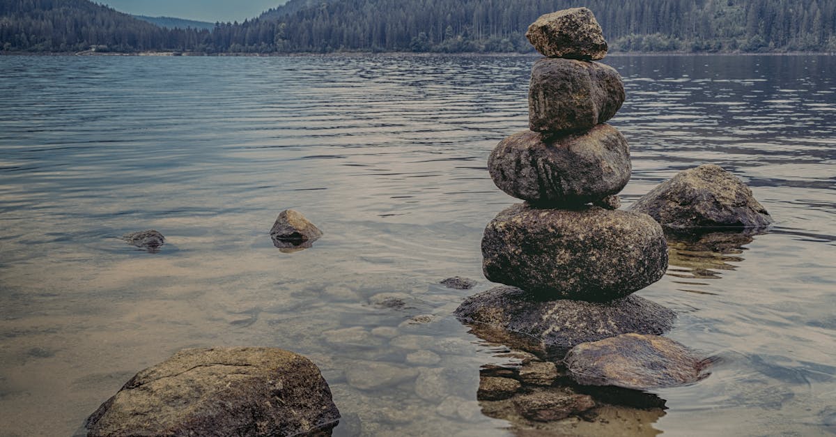 découvrez les bienfaits de la méditation pour apaiser votre esprit, réduire le stress et améliorer votre concentration. explorez différentes techniques et trouvez la méthode adaptée à votre bien-être.