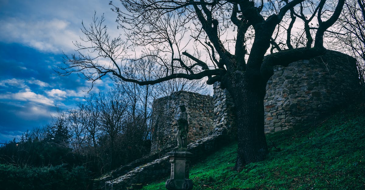 découvrez l'univers fascinant du mystère, où les énigmes et les secrets se mêlent à l'intrigue. plongez dans des histoires captivantes qui éveillent votre curiosité et stimulent votre imagination.