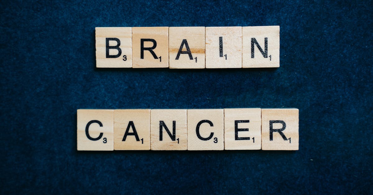 découvrez le fascinant monde des neurosciences, une discipline qui explore le fonctionnement du cerveau et du système nerveux. plongez dans les recherches récentes, les avancées technologiques et les applications pratiques pour une meilleure compréhension du comportement humain et des troubles neurologiques.