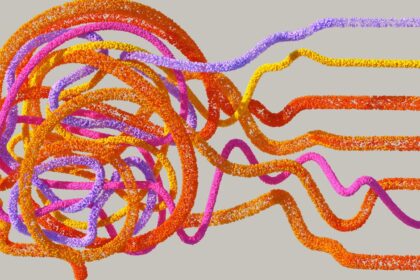 découvrez l'univers fascinant des neurosciences, un domaine qui explore les mécanismes du cerveau et du système nerveux. apprenez comment ces sciences impactent notre compréhension du comportement humain, de la cognition et des émotions, tout en dévoilant les avancées récentes et leurs applications dans la santé et la technologie.