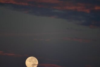 découvrez les mystères et les significations de la nouvelle lune. explorez comment cet événement astral influence nos vies et traduis les cycles de renouveau et d'intention.
