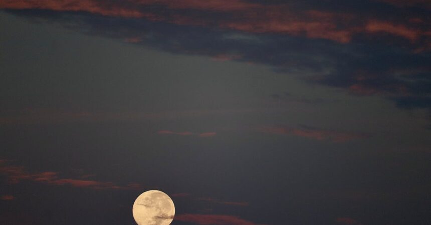 découvrez les mystères et les significations de la nouvelle lune. explorez comment cet événement astral influence nos vies et traduis les cycles de renouveau et d'intention.