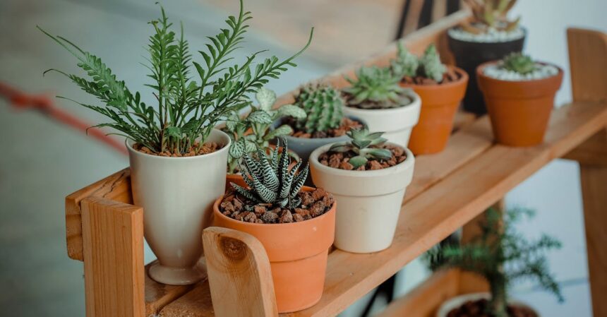 découvrez l'univers fascinant des plantes avec notre guide complet. explorez les différentes espèces, apprenez des conseils d'entretien et stimulez votre passion pour le jardinage. que vous soyez un novice ou un expert, plongez dans les bienfaits des plantes pour votre maison et votre bien-être.