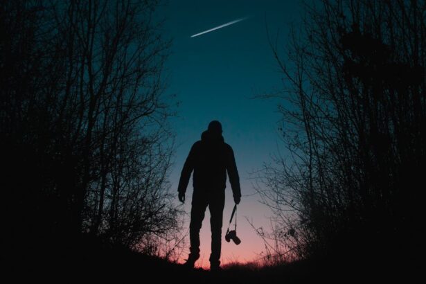 découvrez l'art de la silhouette, une forme d'expression créative qui capte l'essence d'une personne à travers des ombres et des contours. explorez des techniques, des inspirations et des conseils pour maîtriser cette discipline fascinante.