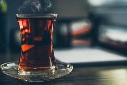 découvrez l'univers fascinant du thé : bienfaits, variétés, recettes et astuces pour savourer chaque tasse. plongez dans notre guide complet pour amateurs et néophytes.