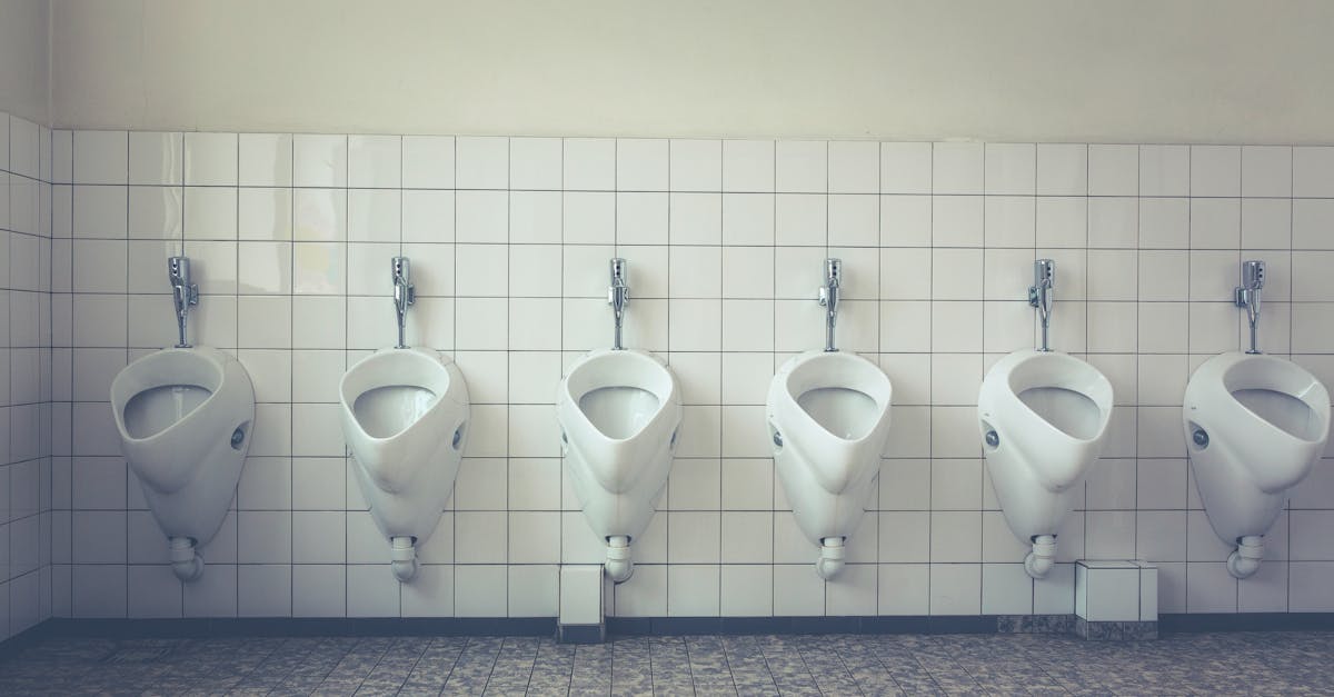découvrez tout sur l'urination : processus physiologique, son importance pour la santé et les facteurs pouvant l'influencer. informez-vous sur les troubles urinaires et adoptez des habitudes saines pour un système urinaire optimal.