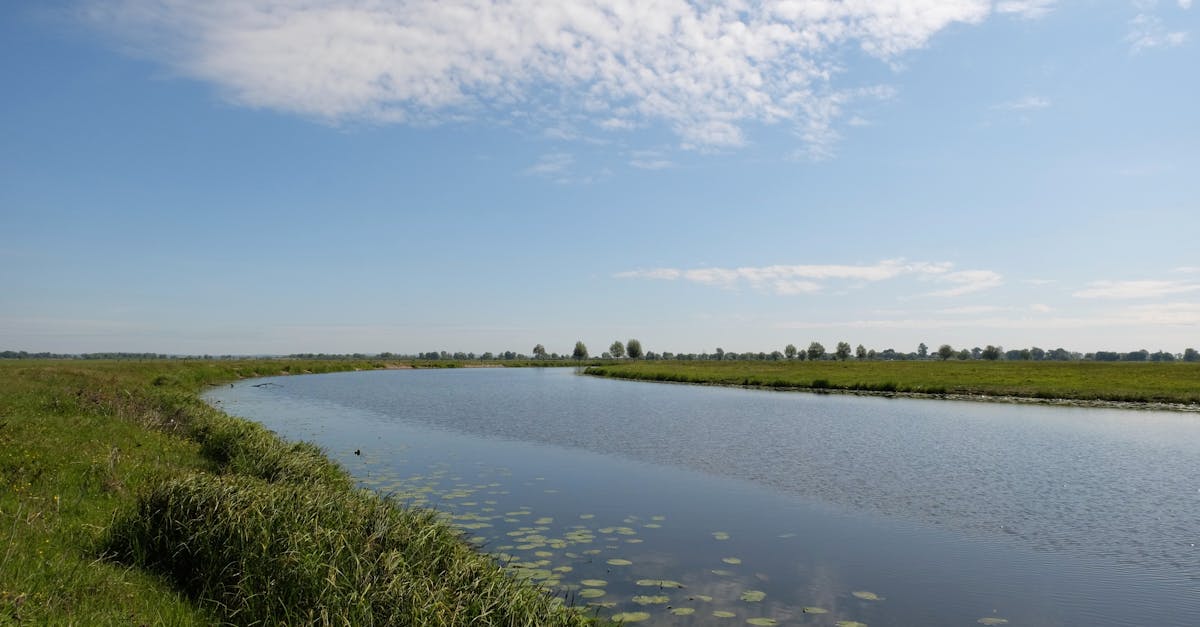 découvrez les nombreux bienfaits de l'eau pour votre santé ! hydratation, amélioration de la digestion, vitalité accrue et peau éclatante : apprenez comment l'eau joue un rôle essentiel dans votre bien-être quotidien.