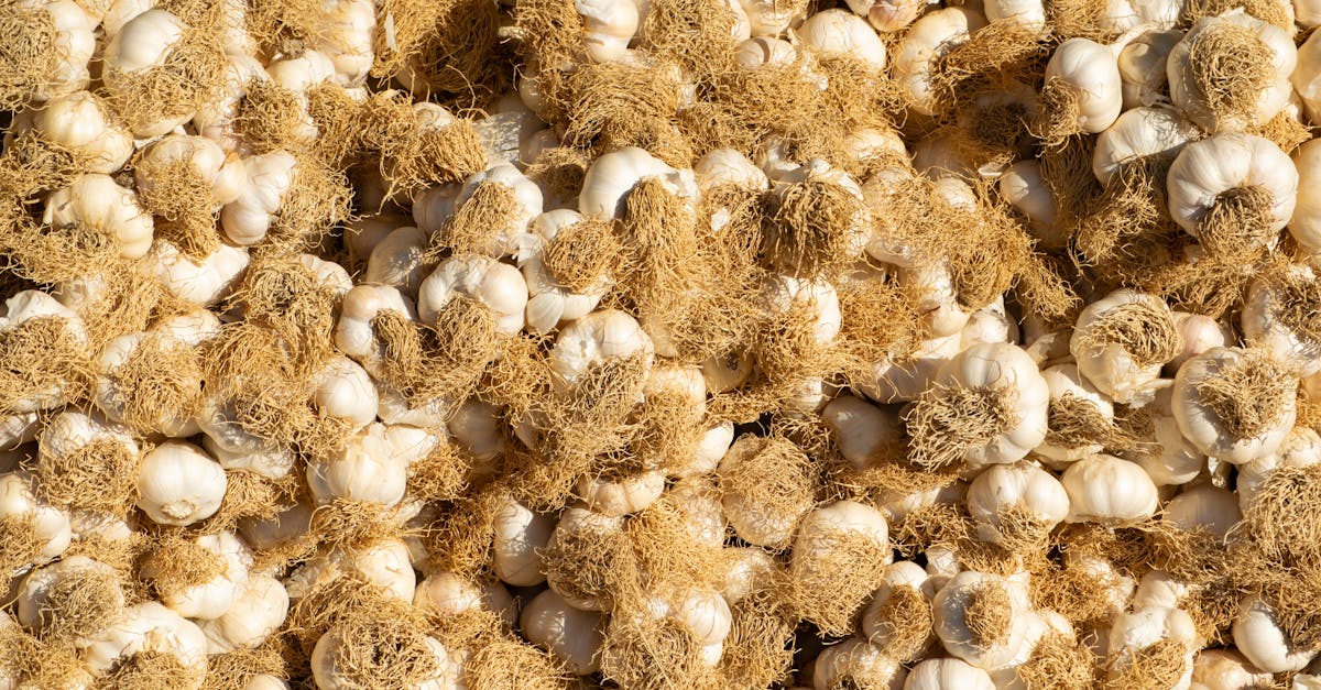 découvrez le régime abura, une approche innovante pour perdre du poids en intégrant des huiles saines à votre alimentation. bénéficiez de conseils nutritionnels et d’astuces bien-être pour équilibrer votre corps naturellement.