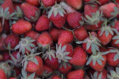 découvrez le régime abura, une méthode innovante pour perdre du poids en équilibrant lipides et nutrition. conseils, bienfaits et recettes pour une alimentation saine et efficace.