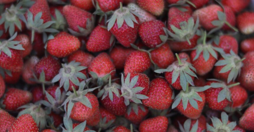 découvrez le régime abura, une méthode innovante pour perdre du poids en équilibrant lipides et nutrition. conseils, bienfaits et recettes pour une alimentation saine et efficace.