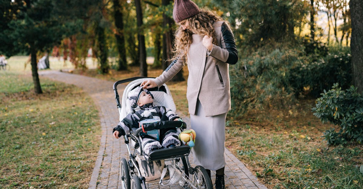 découvrez nos canopées pour poussettes bébé, conçues pour offrir une protection optimale contre le soleil et les intempéries. fonctionnelles et élégantes, elles assurent le confort de votre petit lors de vos promenades. explorez notre sélection variée pour allier style et sécurité.