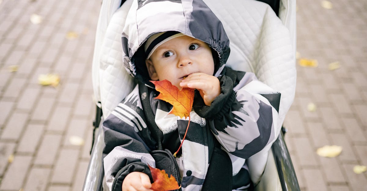 découvrez nos auvents pour poussettes qui offrent une protection optimale contre le soleil et les intempéries. parfaites pour assurer le confort de votre bébé lors des promenades, nos canopies allient fonctionnalité et design. un accessoire incontournable pour les parents soucieux du bien-être de leur enfant.