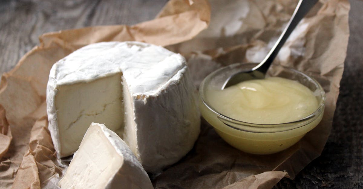 découvrez le monde savoureux du fromage : des variétés artisanales aux fromages affinés, explorez les recettes, les accords mets-vins et les bienfaits de ce délice laitier. une expérience gourmande incontournable pour tous les amateurs de fromage !