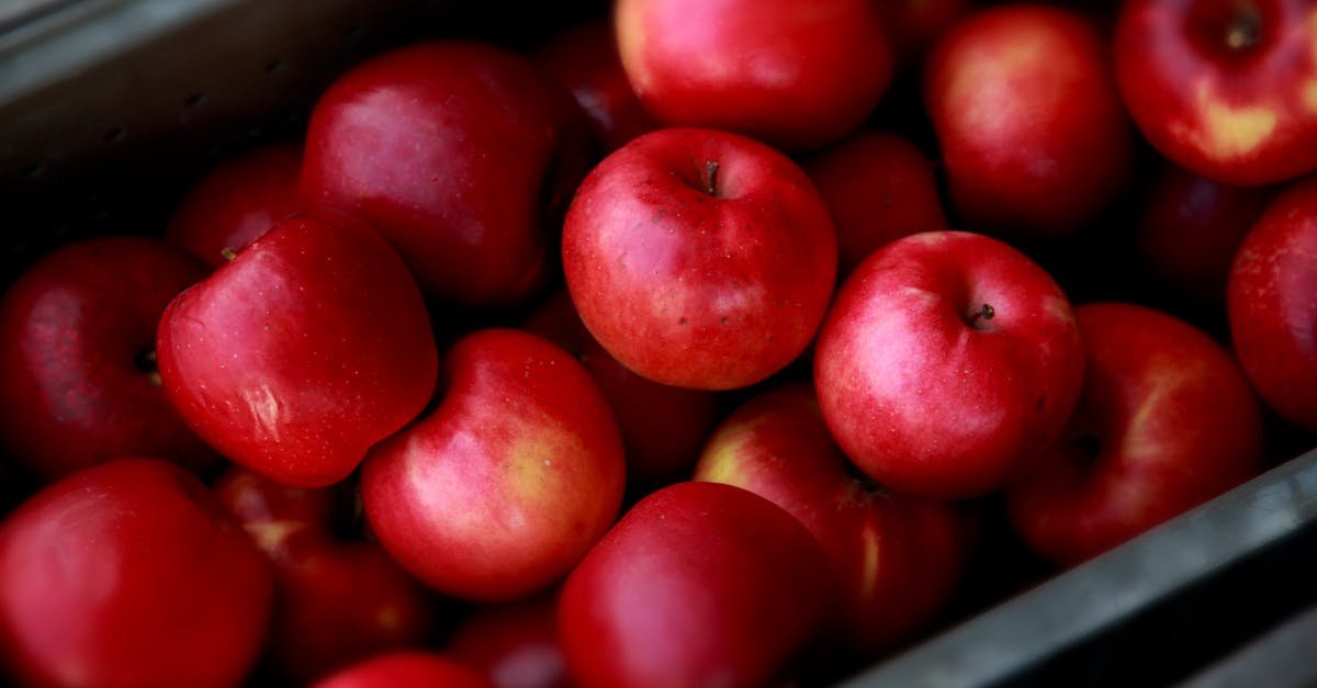 découvrez notre délicieuse recette de tarte aux pommes : une pâte croustillante garnie de pommes fondantes et légèrement caramélisées, parfaite pour un dessert gourmand et traditionnel.