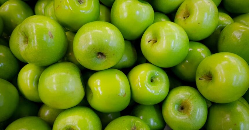 découvrez notre délicieuse recette de tarte aux pommes, facile à réaliser et parfaite pour sublimer vos desserts. une pâte croustillante garnie de pommes fondantes pour un plaisir gourmand garanti !