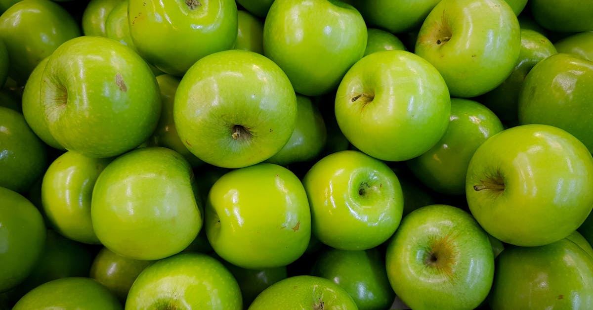 découvrez notre délicieuse recette de tarte aux pommes, facile à réaliser et parfaite pour sublimer vos desserts. une pâte croustillante garnie de pommes fondantes pour un plaisir gourmand garanti !