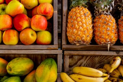 découvrez les bienfaits du régime à la banane : conseils, menus et avis pour perdre du poids naturellement tout en profitant d'un fruit sain et énergétique.