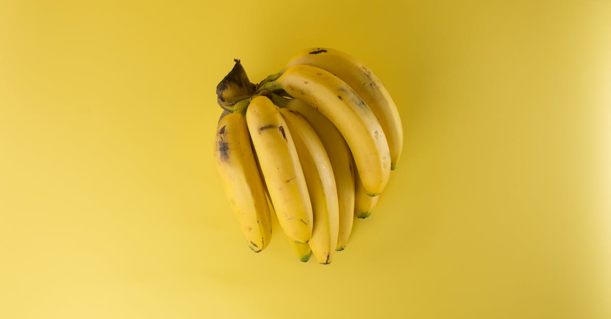 découvrez une grande variété de fruits frais et savoureux, leurs bienfaits pour la santé, conseils de conservation et idées de recettes gourmandes pour toute la famille.