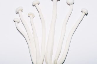 découvrez la diète coréenne : ses principes, aliments phares et conseils pour perdre du poids sainement tout en adoptant un mode de vie équilibré et inspiré de la cuisine coréenne.