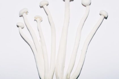 découvrez la diète coréenne : ses principes, aliments phares et conseils pour perdre du poids sainement tout en adoptant un mode de vie équilibré et inspiré de la cuisine coréenne.