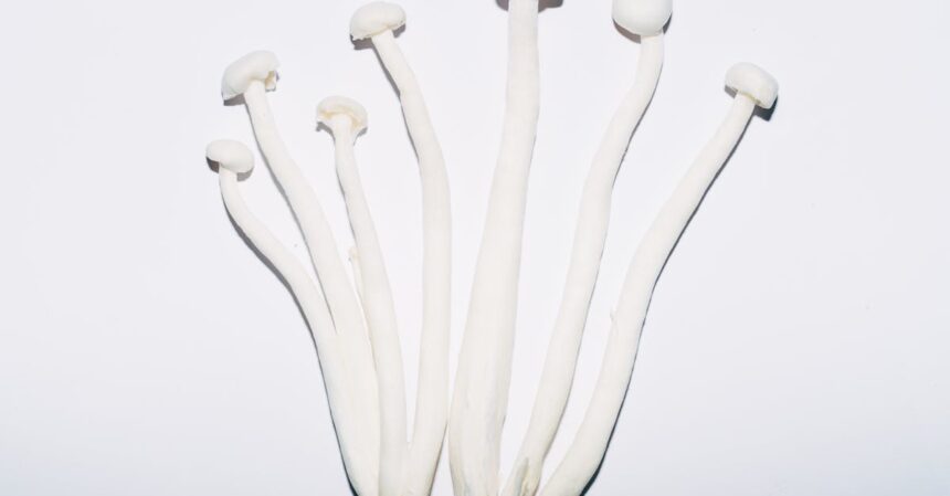 découvrez la diète coréenne : ses principes, aliments phares et conseils pour perdre du poids sainement tout en adoptant un mode de vie équilibré et inspiré de la cuisine coréenne.