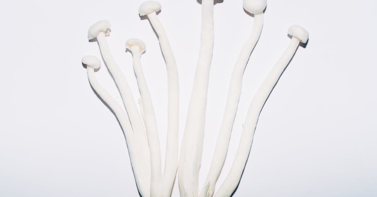 découvrez la diète coréenne : ses principes, aliments phares et conseils pour perdre du poids sainement tout en adoptant un mode de vie équilibré et inspiré de la cuisine coréenne.