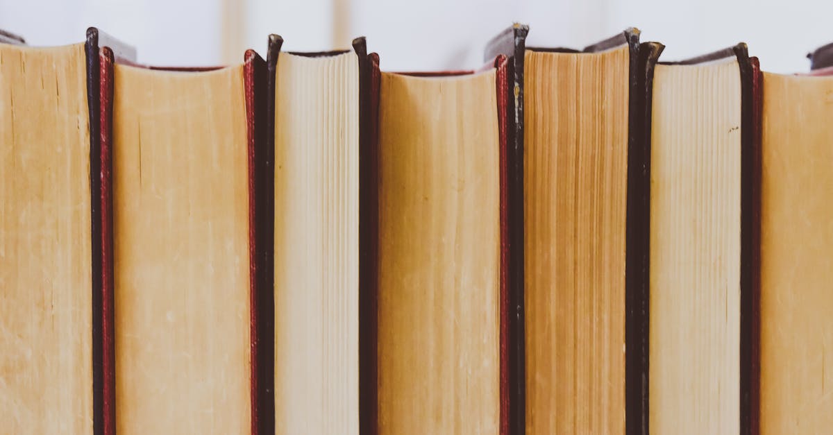 découvrez tout sur les bibliothèques : leur rôle, les services offerts, l’accès aux livres et ressources numériques. trouvez la bibliothèque idéale pour vos besoins d’études et de loisirs.