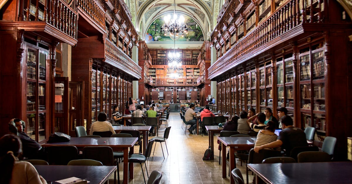 découvrez notre bibliothèque : un espace dédié à la lecture, à la recherche de connaissances et à l’emprunt de livres pour tous les âges et centres d’intérêt.