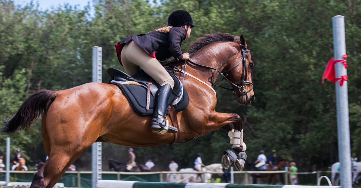 découvrez les principaux indicateurs physiques, leur définition et leur importance pour évaluer la santé, la performance sportive et le bien-être au quotidien.