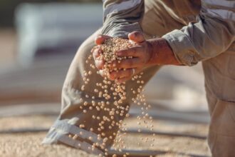 découvrez tout sur le soja : ses bienfaits nutritionnels, ses usages culinaires, ses origines et son importance dans une alimentation saine et équilibrée.