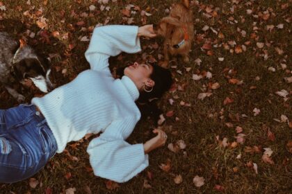 découvrez notre collection de sweaters tendance, parfaits pour un style confortable et décontracté. idéals pour toutes les saisons, explorez des modèles variés adaptés à tous les goûts chez nous.