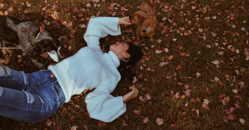 découvrez notre collection de sweaters tendance, parfaits pour un style confortable et décontracté. idéals pour toutes les saisons, explorez des modèles variés adaptés à tous les goûts chez nous.